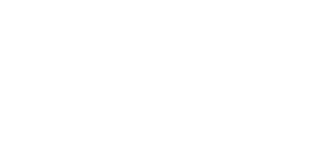 DIGIMAX