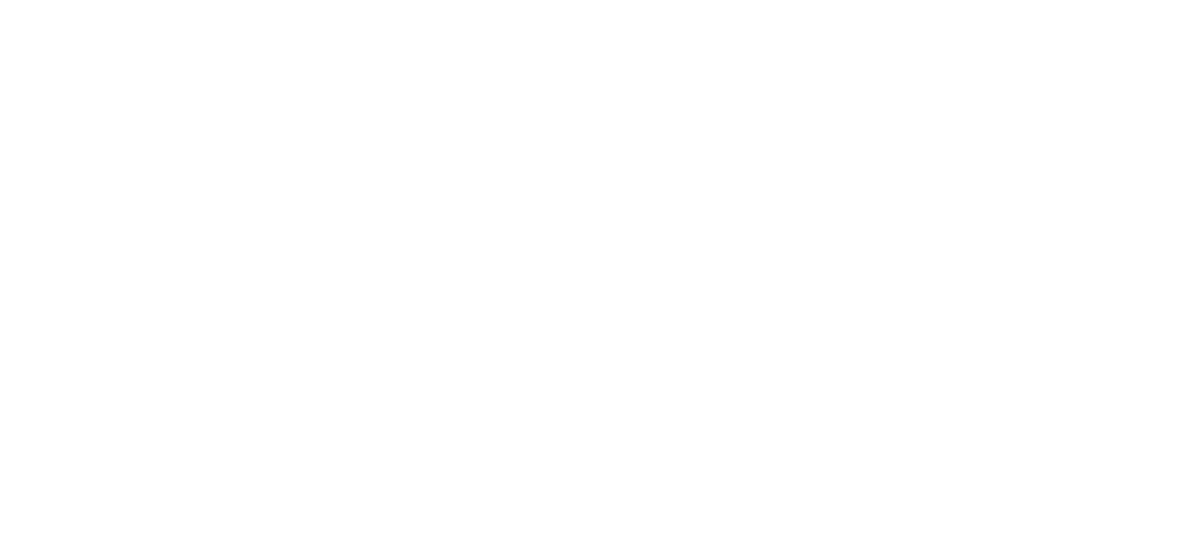 FAESO