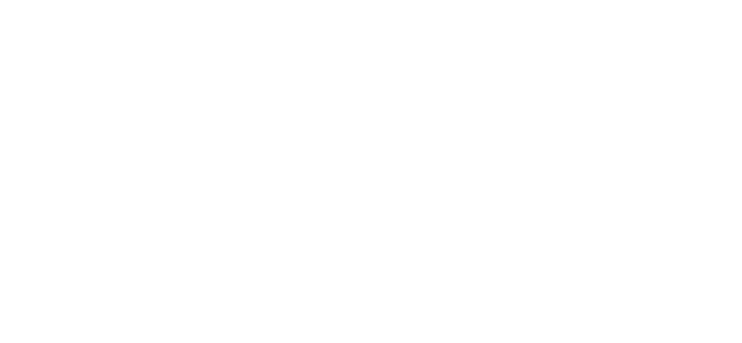 INFONET