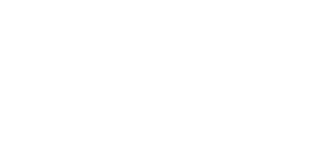 PONTUAL